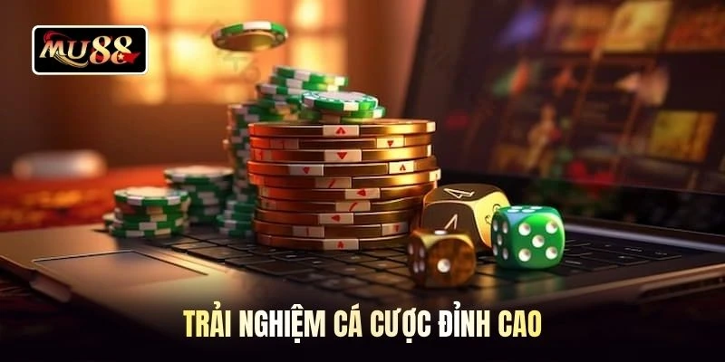 Trải nghiệm cá cược đỉnh cao